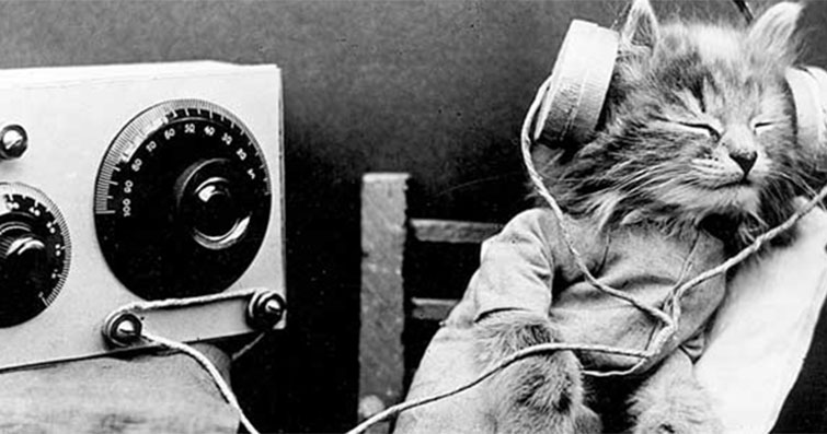 Kediler ve 8-Bit Müzik: Kedinizle Birlikte Nostaljik Melodilere Dalma