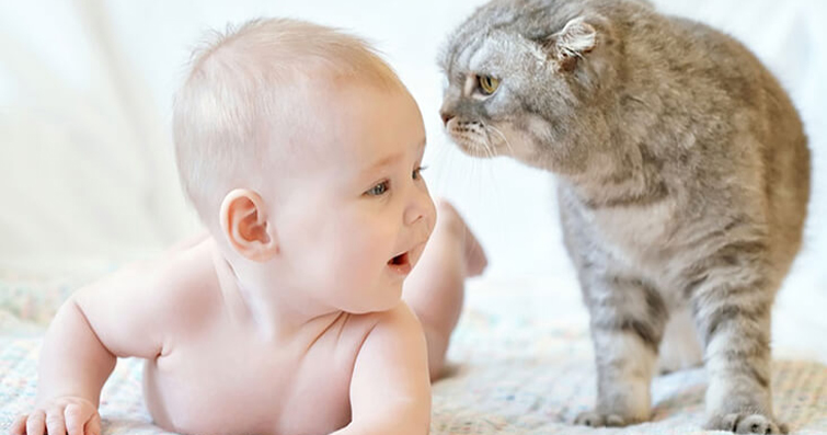 Kedi ve Bebek: İyi Bir İkili İçin İpuçları