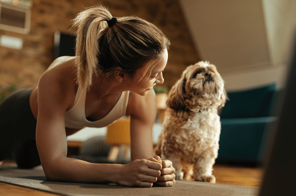 Köpek Sağlığı: Beslenme ve Egzersiz Önerileri