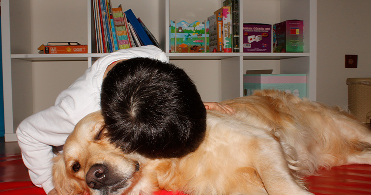 Köpekler ve Kâbus Terapisi: Kötü Rüyalar İçin Yardımcı Teknikler