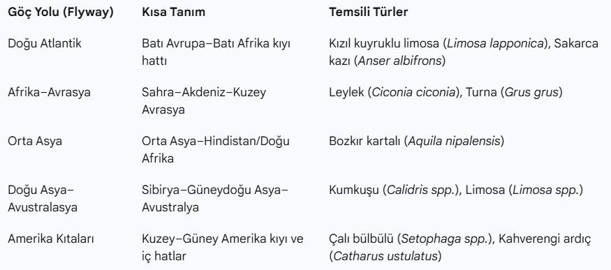 patiliyo.com