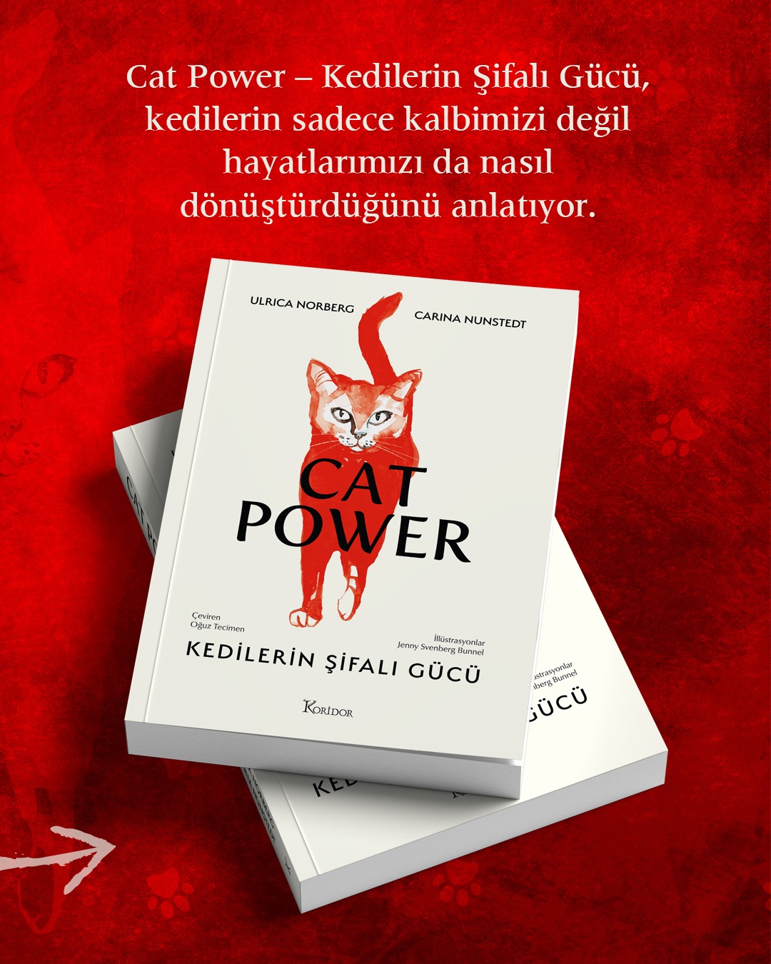Kedi,Kitap