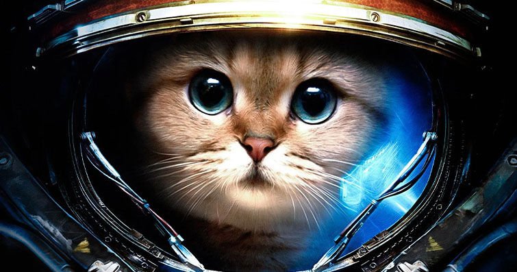 Kedilerin Uzay ve Gezegenlerle İlişkisi