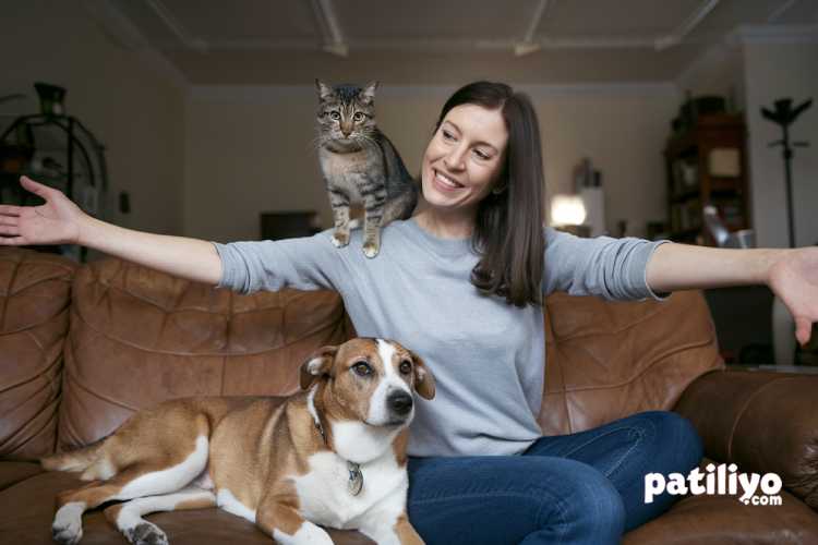İnsanlar ile Kedi ve Köpekler Arasındaki Duygusal Senkronizasyon