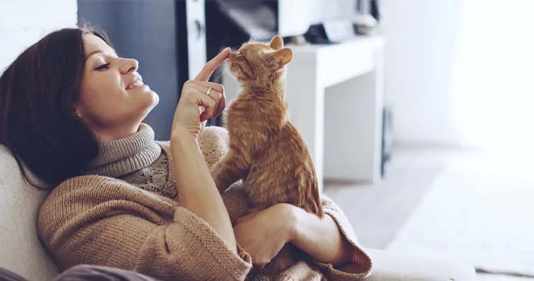 Kedilerde Kucaklama ve Kedi İlgisi: Kedinizin Sizi Sevme Yolları
