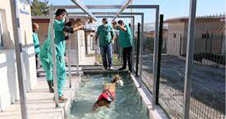 Ne Mutlu Size: Türkiye’de İlk Fizik Tedavi ve Terapi Havuz Merkezi Açıldı