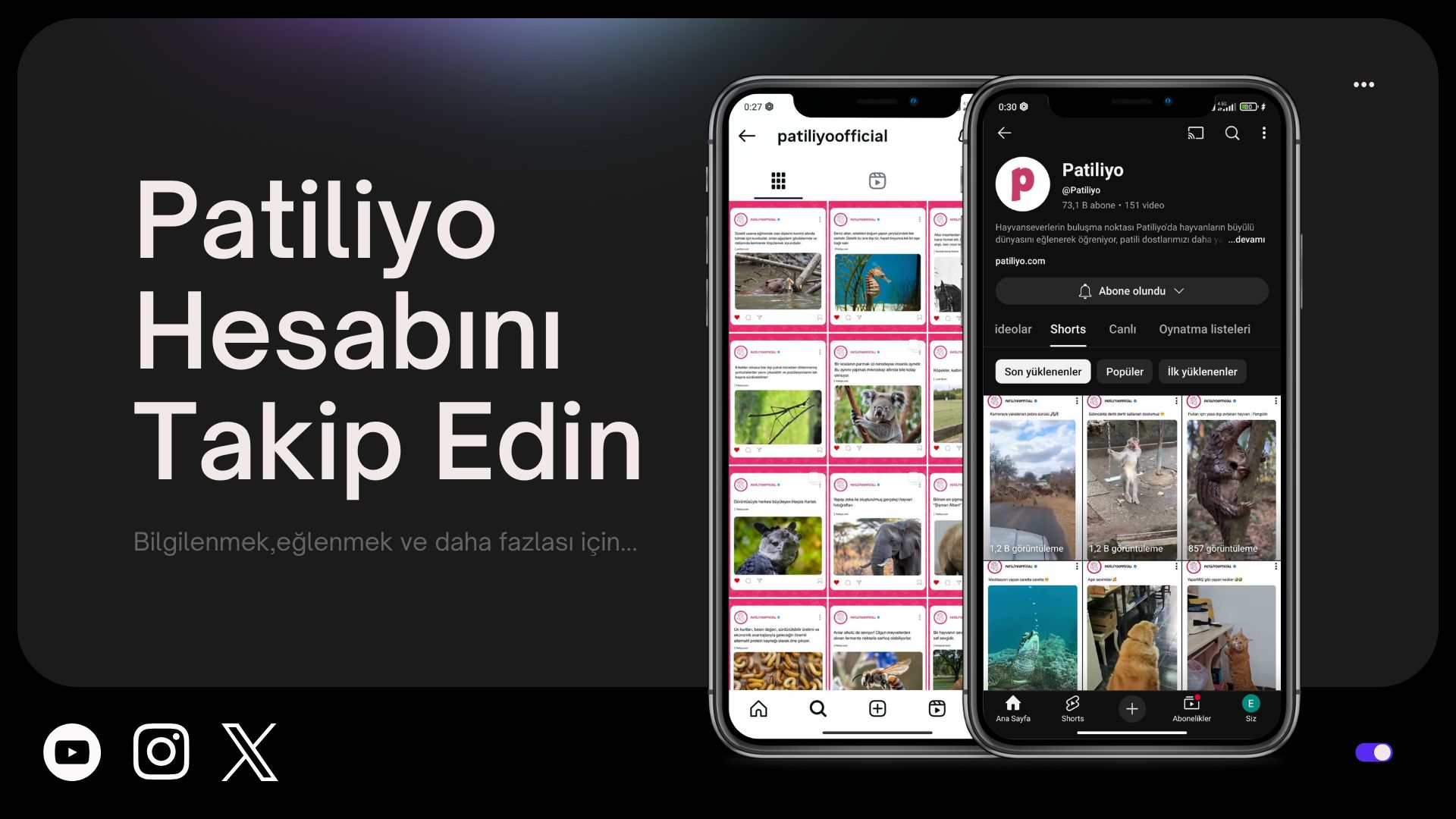 Neden Diğer Platformlarda Patiliyo'yu Takip Etmelisiniz?
