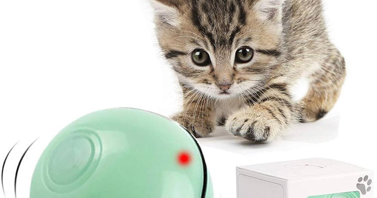 Akıllı Kedi Oyuncakları ve Eğlence Cihazları
