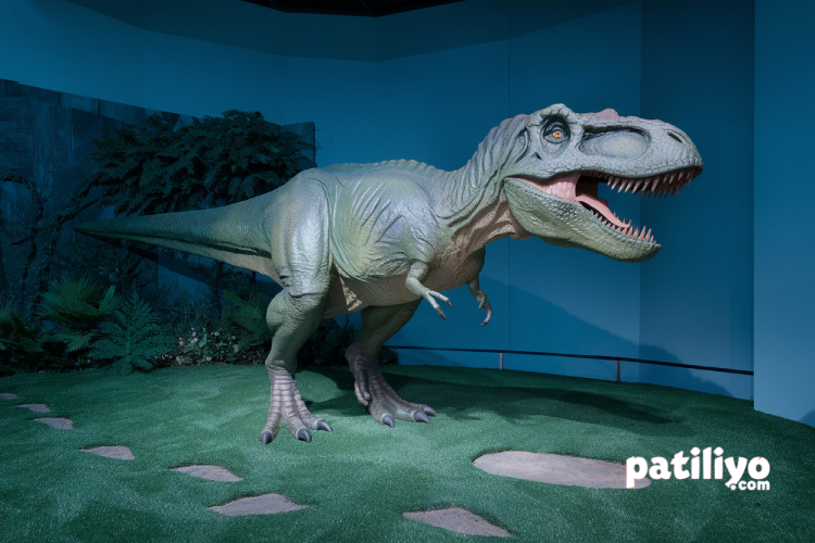 Böceklerin Evrimi: Dinozorlardan Günümüze