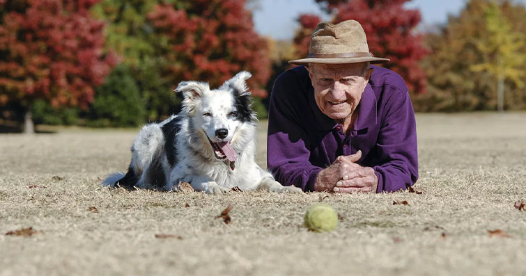 Köpeklerde Sağlıklı Yaşlanma: Yaşlı Köpekler İçin Bakım ve Konfor Stratejileri
