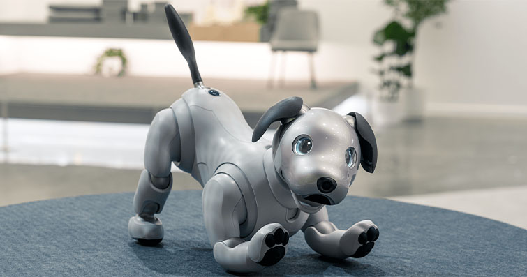 Köpekler ve Robotlar: Yapay Zeka Destekli Köpek Arkadaşlarının Yükselişi