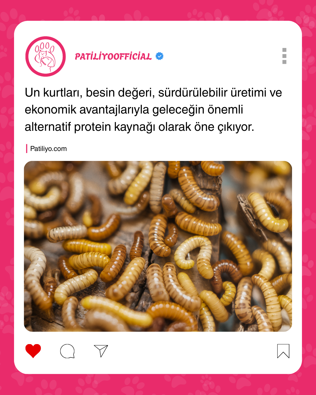 patiliyo.com