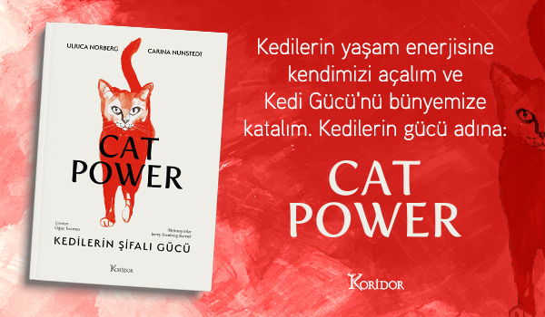 Cat Power: Kedilerin Şifalı Gücü 