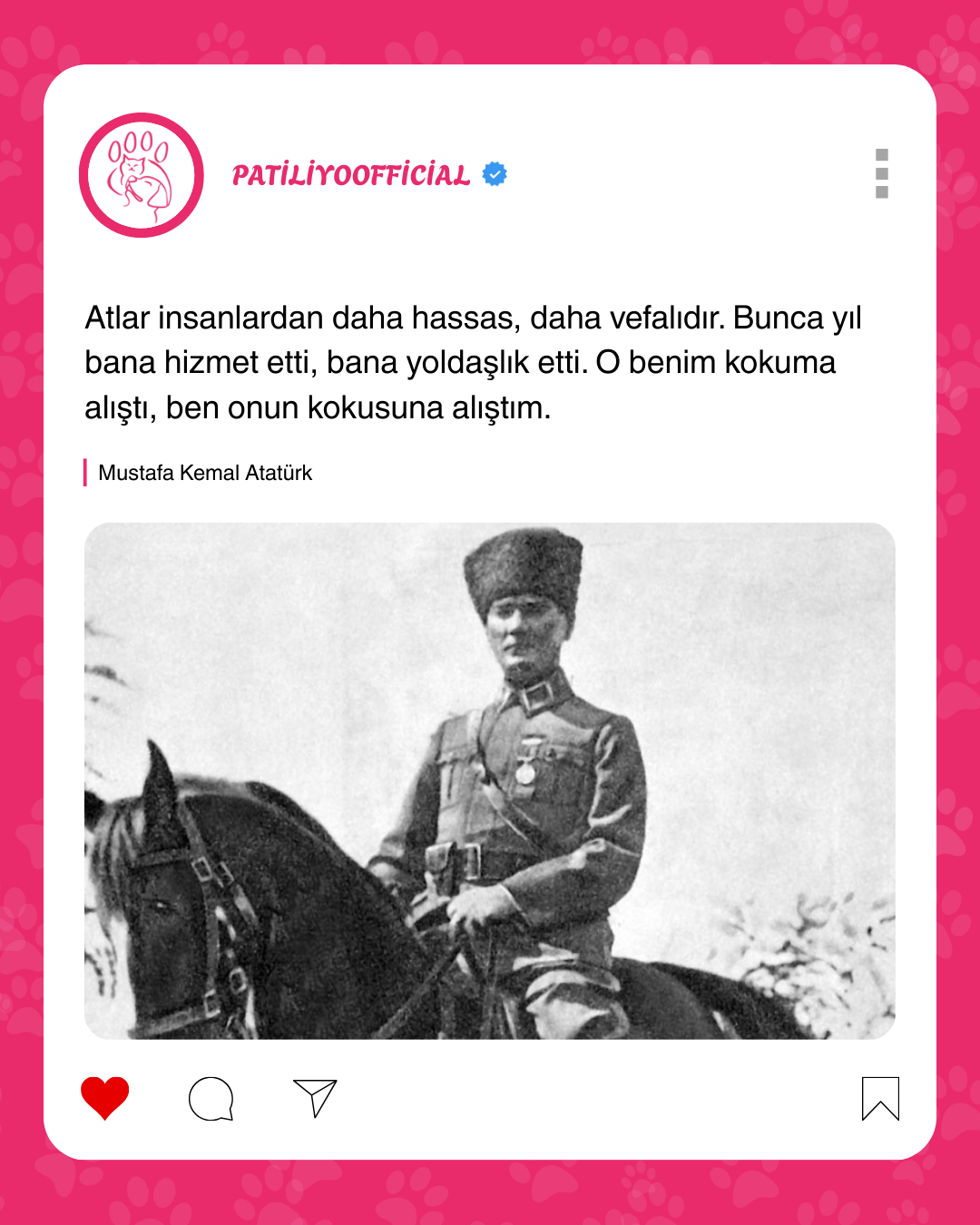 patiliyo.com