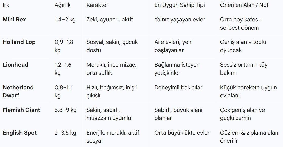 patiliyo.com