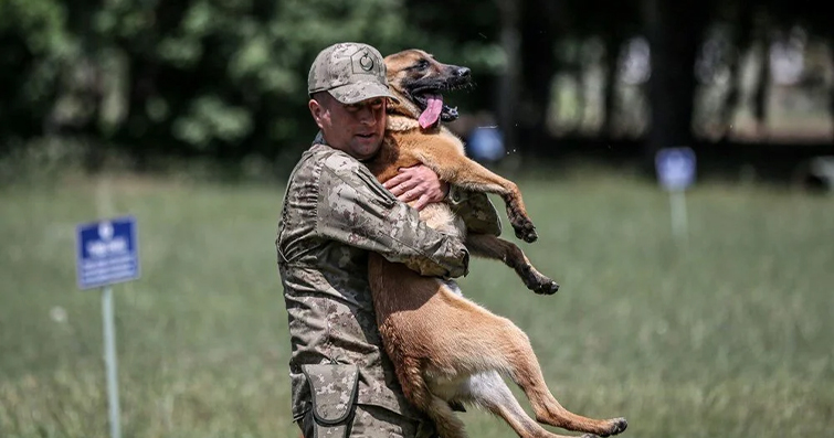 Köpeklerin polis ve askeri operasyonlardaki rolü