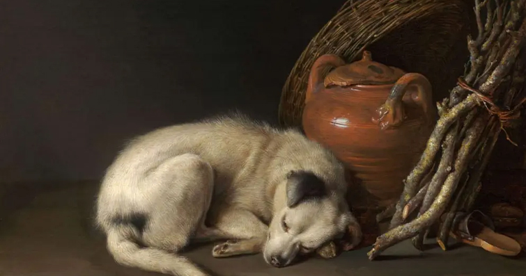 Köpekler ve Sanat: Pati Boya ve Eğlenceli Evde Sanat Projeleri