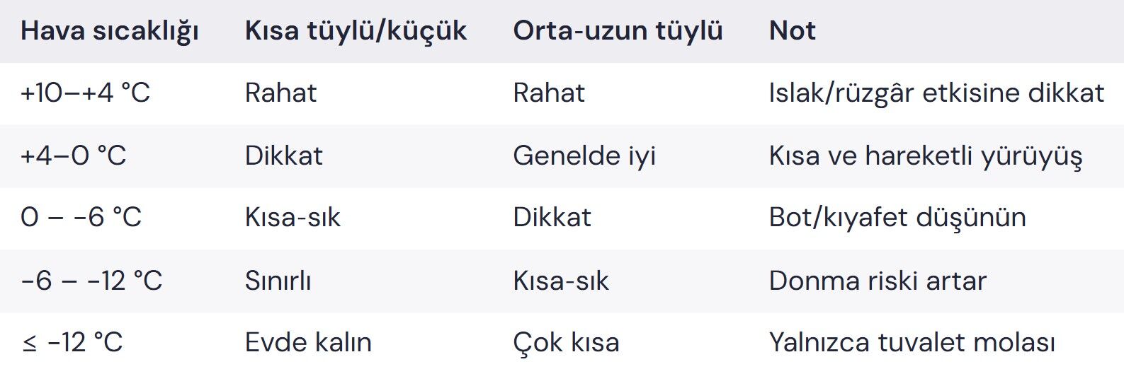 patiliyo.com