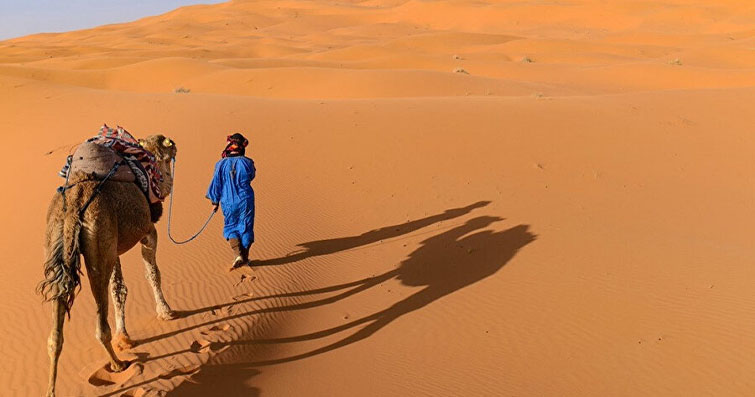 Afrika'nın Sahra Ötesi: Çöl Hayatının Zorlu Gerçekleri