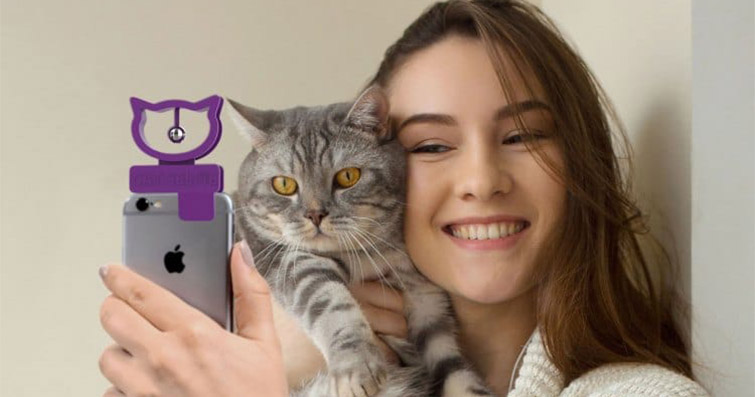 Kedinizle En Güzel Selfie'leri Çekme Yolları