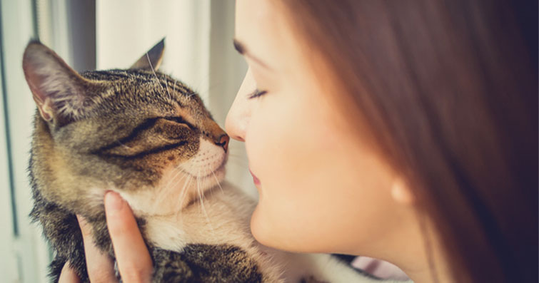 Kedilerin Ruhsal Kılavuzları ve Melek Rehberleriyle İlişkileri