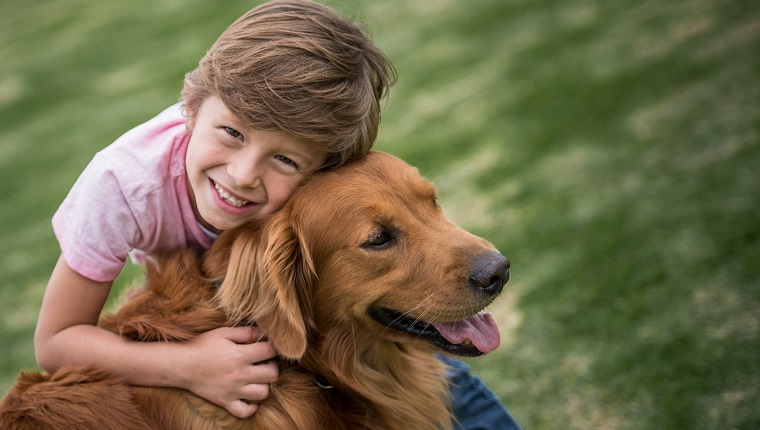 Bir Köpek ile Hayat Boyu Dostluk Kurmayı Düşünenlere 12 Altın Tavsiye