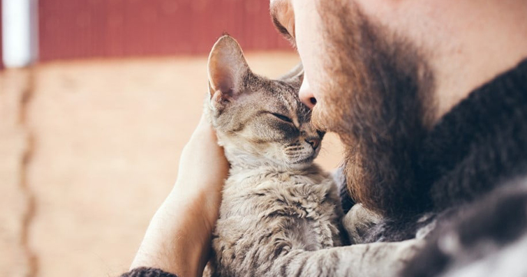 Kediler ve Uzaylılar: Kedinizle Birlikte Uzaylılar Hakkında Sohbet