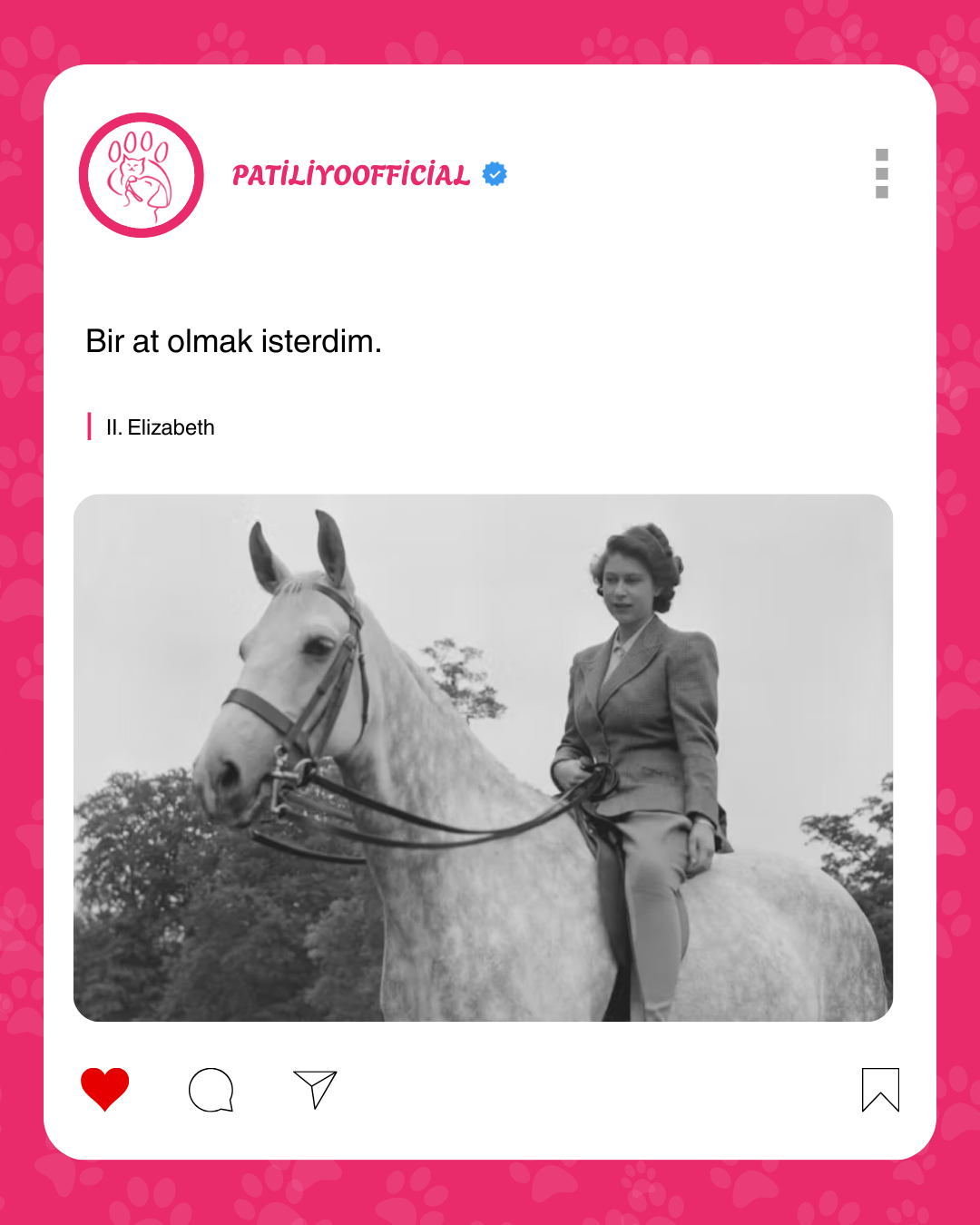 patiliyo.com