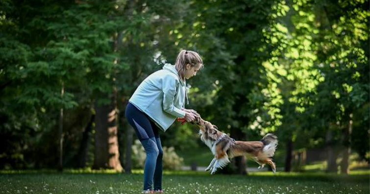 Köpekler ve Mindfulness: Köpeğinizle Birlikte Farkındalık Egzersizleri