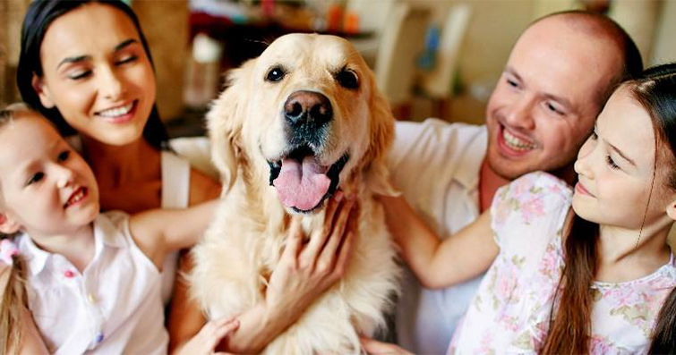 Köpekler ve Aile: İdeal Aile Köpeği Seçimi ve Bakımı
