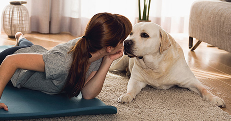Patili Yoga: Köpeklerle Birlikte Evde Yoga Nasıl Yapılır?