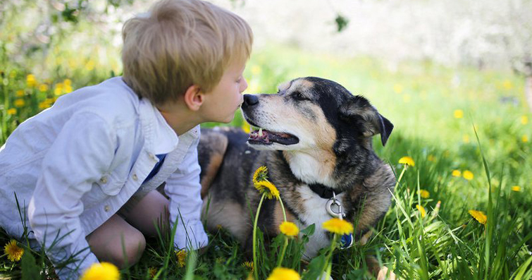 Köpeklerde Sevdaya Dair: Aşk ve Evcil Hayvanlar