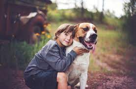 Köpekler ve Çocuklar: Sağlıklı Bir İlişki Nasıl Kurulur?