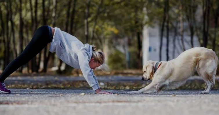 Köpeklerde Denge ve Koordinasyon Egzersizleri: Evcil Hayvanların Fiziksel Sağlığı