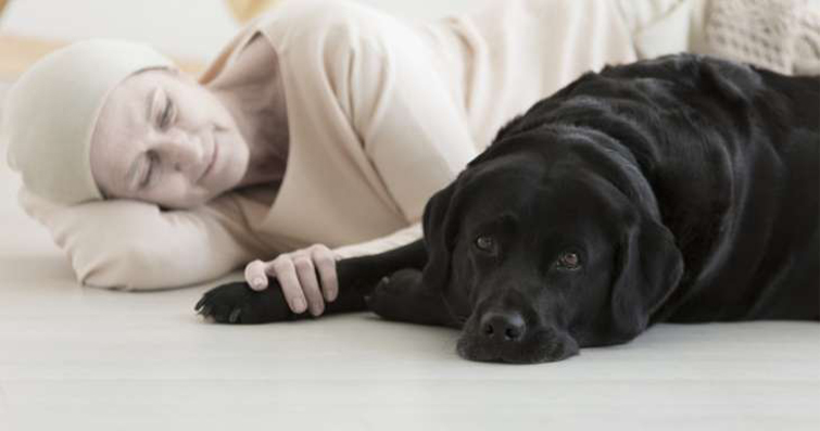 Köpeklerin Terapi ve Moral Sağlayıcı Rolü: Evcil Dostlarımızın İnsan Sağlığına Olumlu Etkileri