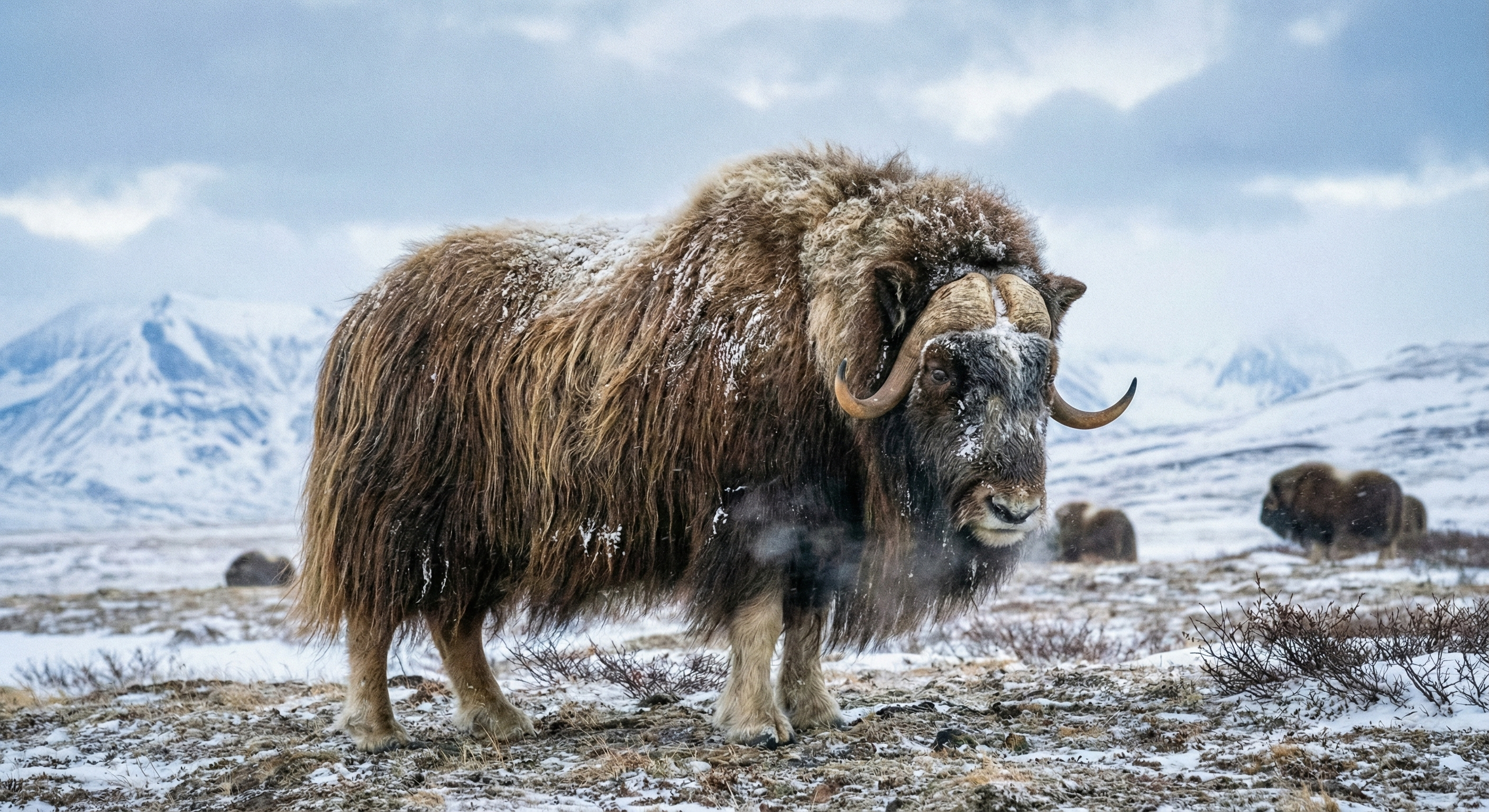 Buz Devri'nin Gerçek Savaşçıları: Mamutlar Öldü, Kimler Hayatta Kaldı?
