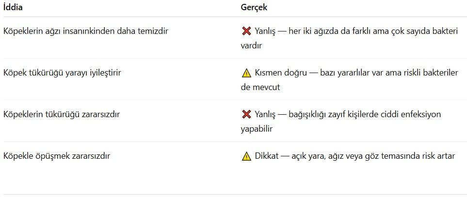 patiliyo.com