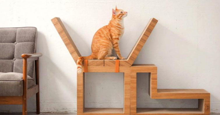 Kediler ve Ev Tasarımı: Kedilere Uygun Ev İçi Tasarım Fikirleri ve Kedi Dostu Mobilyalar