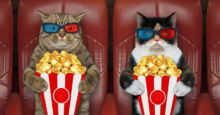 Kedinizle Film Gecesi: Kedilere Özel Film ve Dizi Tavsiyeleri