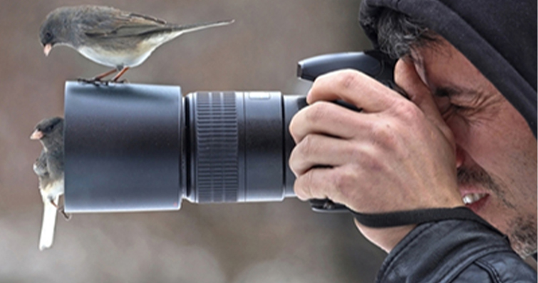 Kuş Fotoğrafçılığı: Kuşları Yakından Tanımak