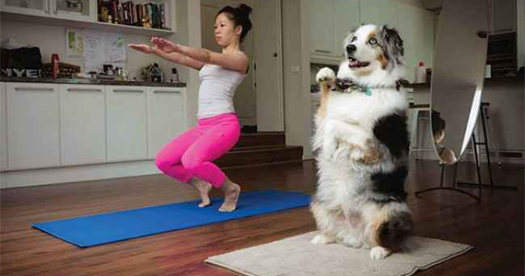 Köpeklerle Yoga Stilleri: Enerji ve Uyumun Mükemmel Dengesi