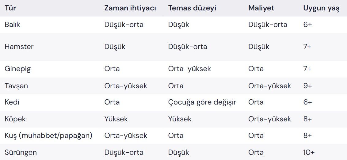 patiliyo.com