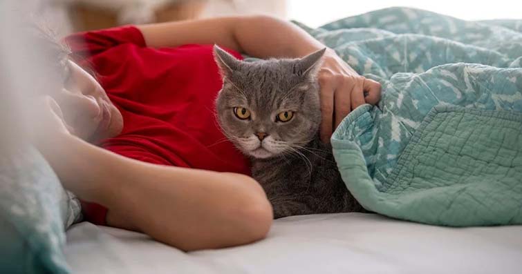 Kediler ve Evlilik Danışmanlığı: Kedilerin İnsan İlişkilerindeki Potansiyel Rolü