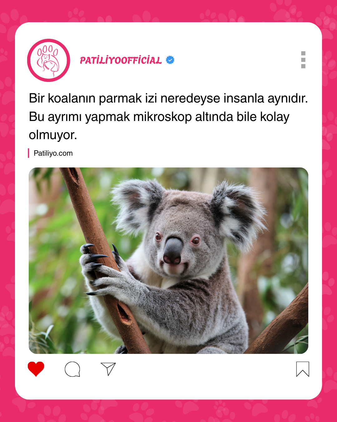patiliyo.com