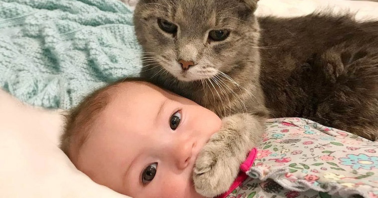 Kediler ve Sosyal Medya: En Popüler Kedi Instagram Hesapları