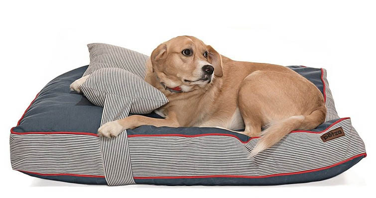 Köpeklerde Güvenli ve Organik Yatak ve Yastıklar