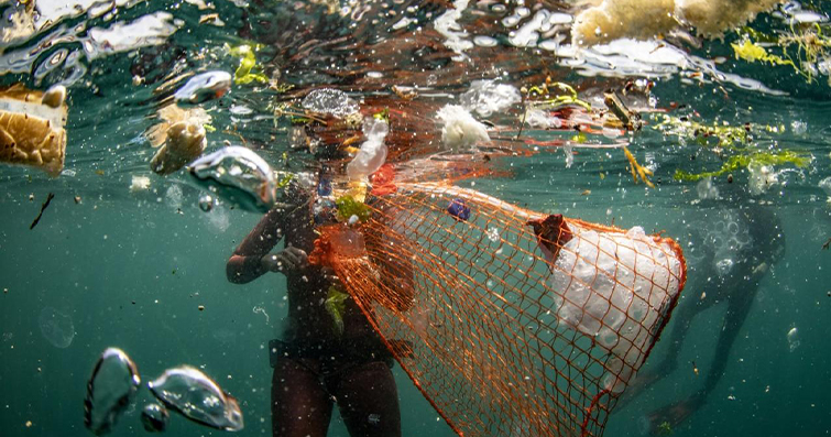 Balıkların Su Kirliliği ve İklim Değişikliği ile İlişkisi: Ekosistemlerin Hassas Denge Noktaları